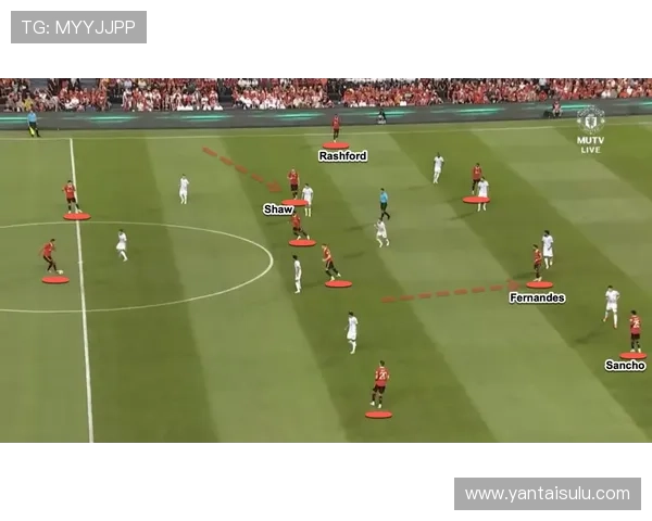 南京排球队意识对比分析:战术思维与团队协作的深度探讨