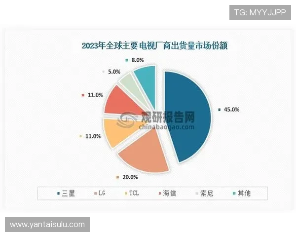 杭州排球队在钻石联赛中的节奏表现分析与未来展望